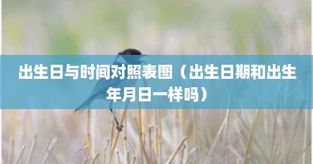 出生日与时间对照表图（出生日期和出生年月日一样吗）