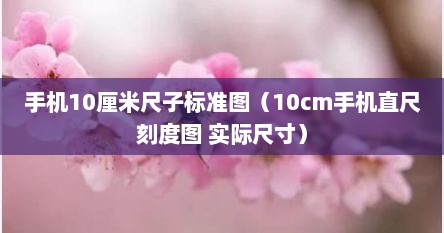 手机10厘米尺子标准图（10cm手机直尺刻度图 实际尺寸）