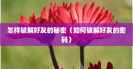 怎样破解好友的秘密（如何破解好友的密码）