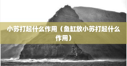 小苏打起什么作用（鱼缸放小苏打起什么作用）