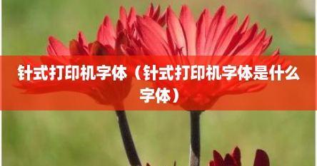 针式打印机字体（针式打印机字体是什么字体）