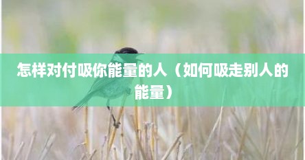 怎样对付吸你能量的人（如何吸走别人的能量）
