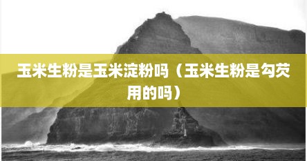 玉米生粉是玉米淀粉吗（玉米生粉是勾芡用的吗）