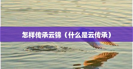 怎样传承云锦（什么是云传承）