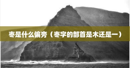 枣是什么偏旁（枣字的部首是木还是一）
