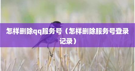 怎样删除qq服务号（怎样删除服务号登录记录）