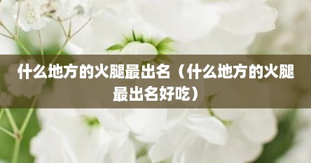 什么地方的火腿最出名（什么地方的火腿最出名好吃）