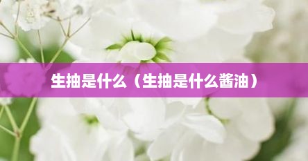 生抽是什么（生抽是什么酱油）