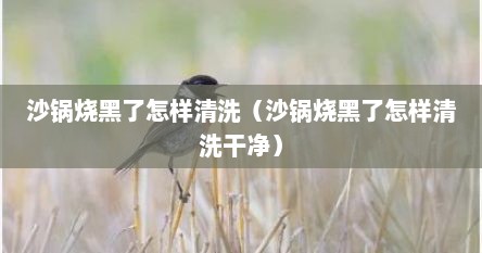 沙锅烧黑了怎样清洗（沙锅烧黑了怎样清洗干净）