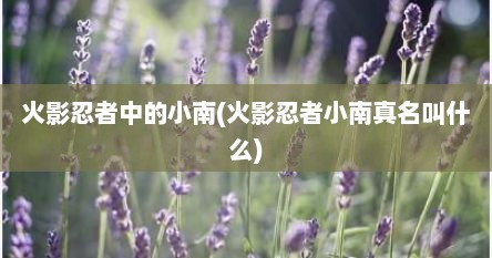 火影忍者中的小南(火影忍者小南真名叫什么)