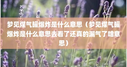梦见煤气罐爆炸是什么意思（梦见煤气罐爆炸是什么意思去看了还真的漏气了啥意思）
