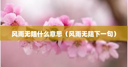 风雨无阻什么意思（风雨无阻下一句）