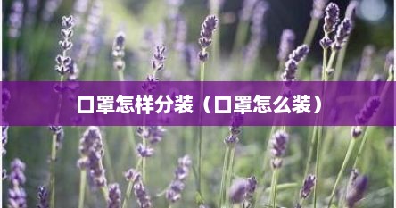 口罩怎样分装（口罩怎么装）