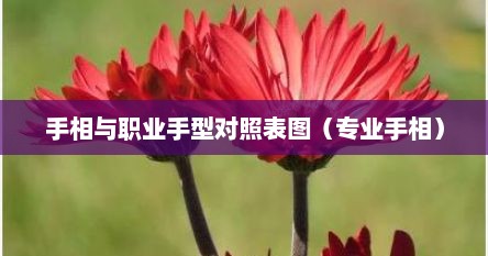 手相与职业手型对照表图（专业手相）