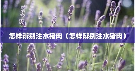 怎样辨别注水猪肉（怎样辩别注水猪肉）