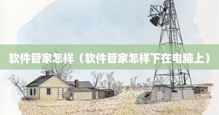 软件管家怎样（软件管家怎样下在电脑上）