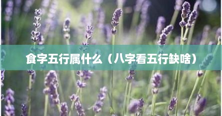 食字五行属什么（八字看五行缺啥）