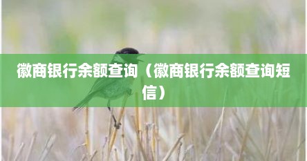 徽商银行余额查询（徽商银行余额查询短信）