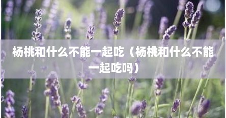 杨桃和什么不能一起吃（杨桃和什么不能一起吃吗）