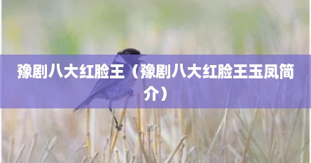 豫剧八大红脸王（豫剧八大红脸王玉凤简介）