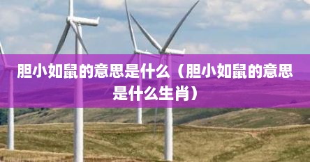 胆小如鼠的意思是什么（胆小如鼠的意思是什么生肖）