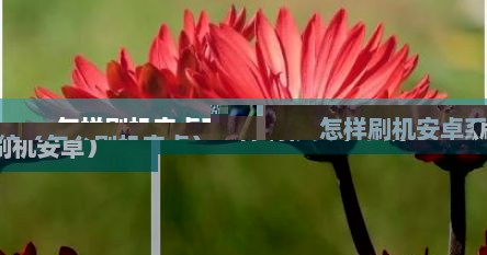 怎样刷机安卓系统（怎么刷机安卓）