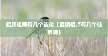 鲲鹏祖师有几个徒弟（鲲鹏祖师有几个徒弟啊）