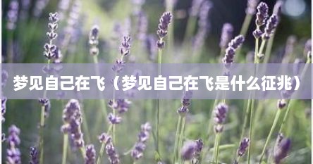 梦见自己在飞（梦见自己在飞是什么征兆）