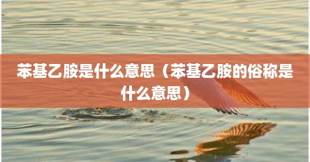 苯基乙胺是什么意思（苯基乙胺的俗称是什么意思）