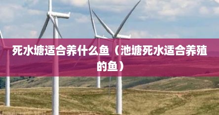 死水塘适合养什么鱼（池塘死水适合养殖的鱼）