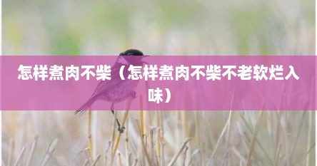怎样煮肉不柴（怎样煮肉不柴不老软烂入味）