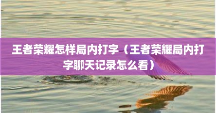 王者荣耀怎样局内打字（王者荣耀局内打字聊天记录怎么看）