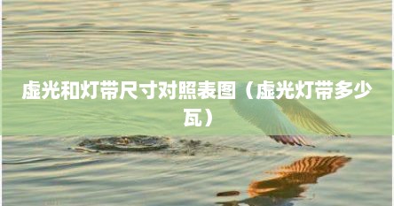 虚光和灯带尺寸对照表图（虚光灯带多少瓦）