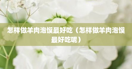 怎样做羊肉泡馍最好吃（怎样做羊肉泡馍最好吃呢）