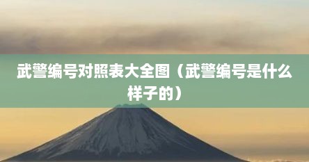武警编号对照表大全图（武警编号是什么样子的）