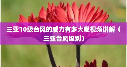 三亚10级台风的威力有多大呢视频讲解（三亚台风级别）