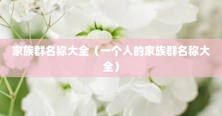 家族群名称大全（一个人的家族群名称大全）