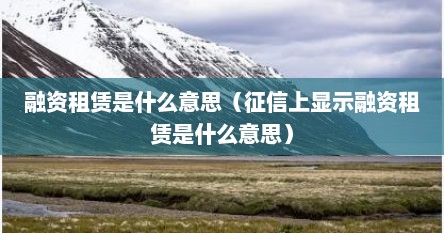 融资租赁是什么意思（征信上显示融资租赁是什么意思）