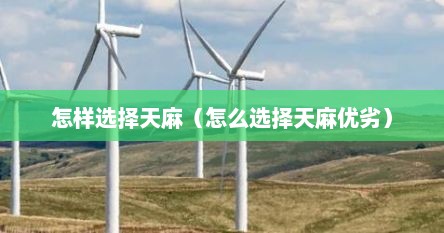 怎样选择天麻（怎么选择天麻优劣）