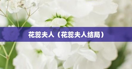 花蕊夫人是什么意思（花蕊夫人简介一下）