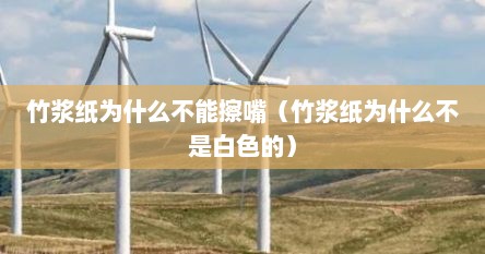 竹浆纸为什么不能擦嘴（竹浆纸为什么不是白色的）