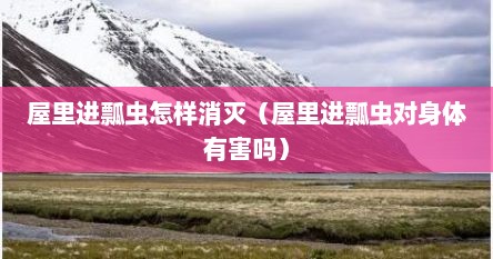 屋里进瓢虫怎样消灭（屋里进瓢虫对身体有害吗）