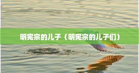 明宪宗的儿子（明宪宗的儿子们）