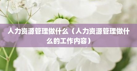 人力资源管理做什么（人力资源管理做什么的工作内容）