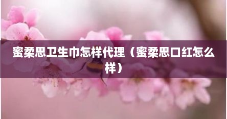 蜜柔思卫生巾怎样代理（蜜柔思口红怎么样）