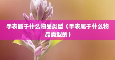 手表属于什么物品类型（手表属于什么物品类型的）