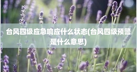 台风四级应急响应什么状态(台风四级预警是什么意思)