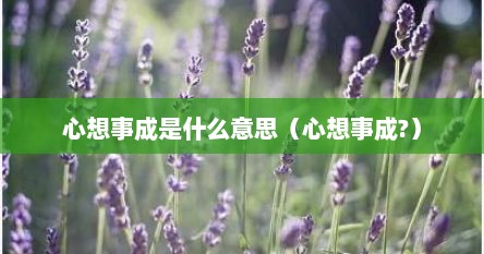 心想事成是什么意思（心想事成?）