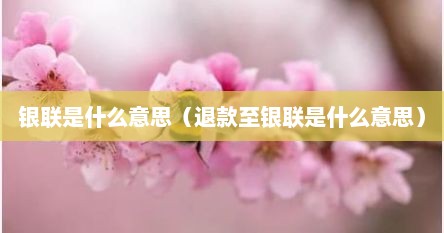 银联是什么意思（退款至银联是什么意思）