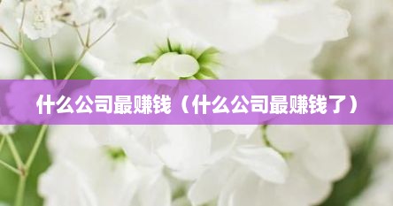 什么公司最赚钱（什么公司最赚钱了）